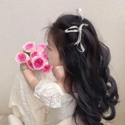 月球叛军:火之女